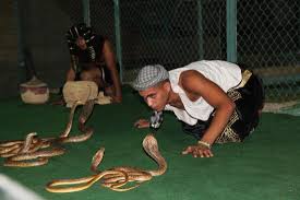 Crocodile and Snake Show in Sharm El Sheikh